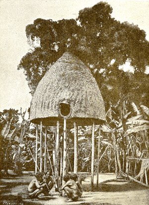 エンガノ島の丸い家