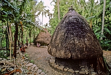 house and granary of Atoni people, Timor