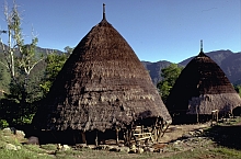 フローレス島マンガライ族の家屋