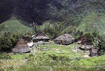 Waerebo village, Manggarai