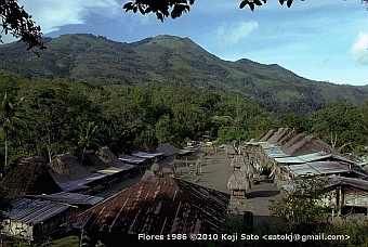 Bena village Ngada, Flores