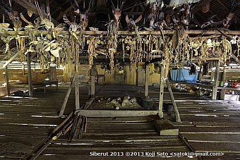 Siberut longhouse