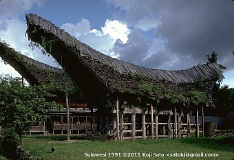 スラウェシ島トラジャ族の家屋