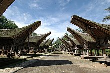 Toraja house and granary, Sulawesi